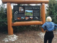 /album/fotogalerij/da95c7df-7e76-4d2f-98d6-a28eee7d44d0-jpg/