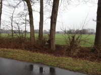 /album/fotogalerij/a015-jpg/