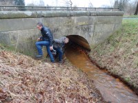 /album/fotogalerij/a018-jpg/